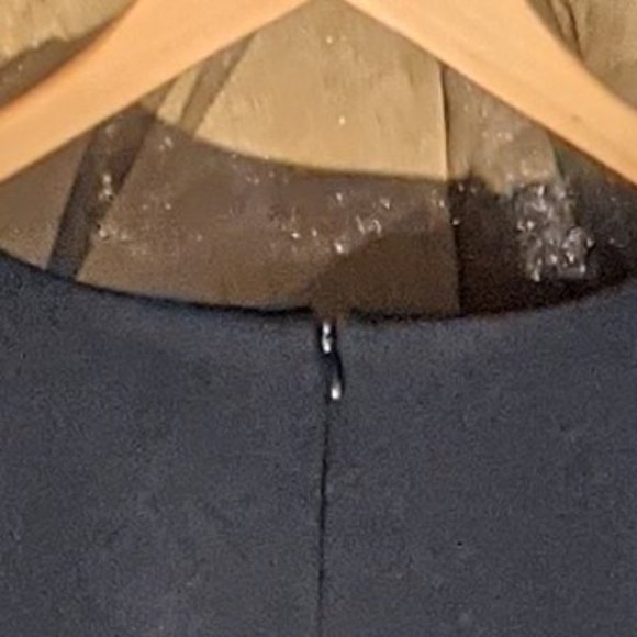 Nicole by Nicole Miller Dress_X-Large w/Feathers - Picture 5 of 7